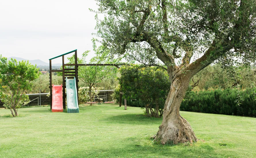 Agriturismo La Collina Degli Olivi - Tuscany Farmhouse Near Sea photo 6