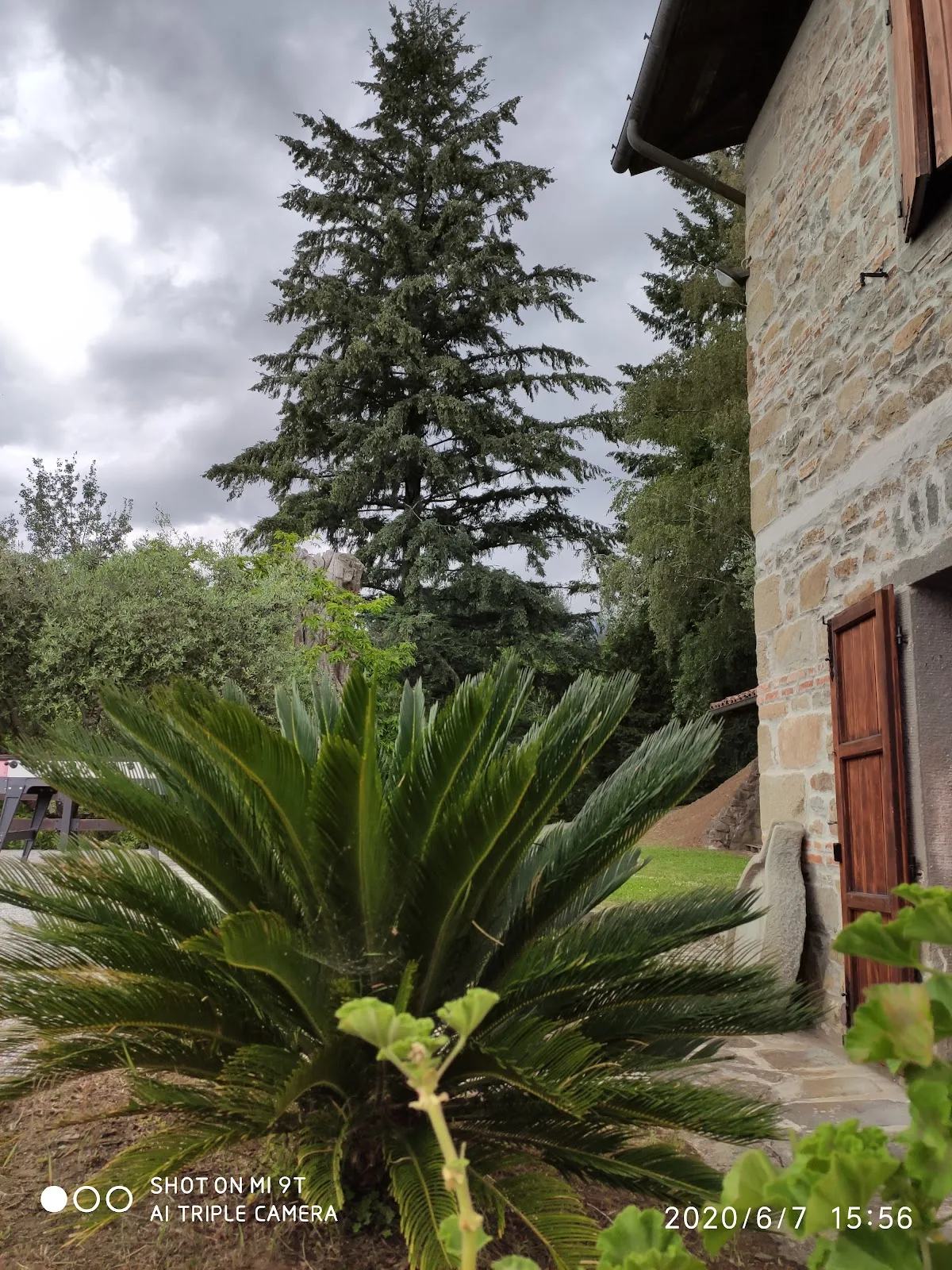 FATTORIA CARPINETA di Pierami Emanuele