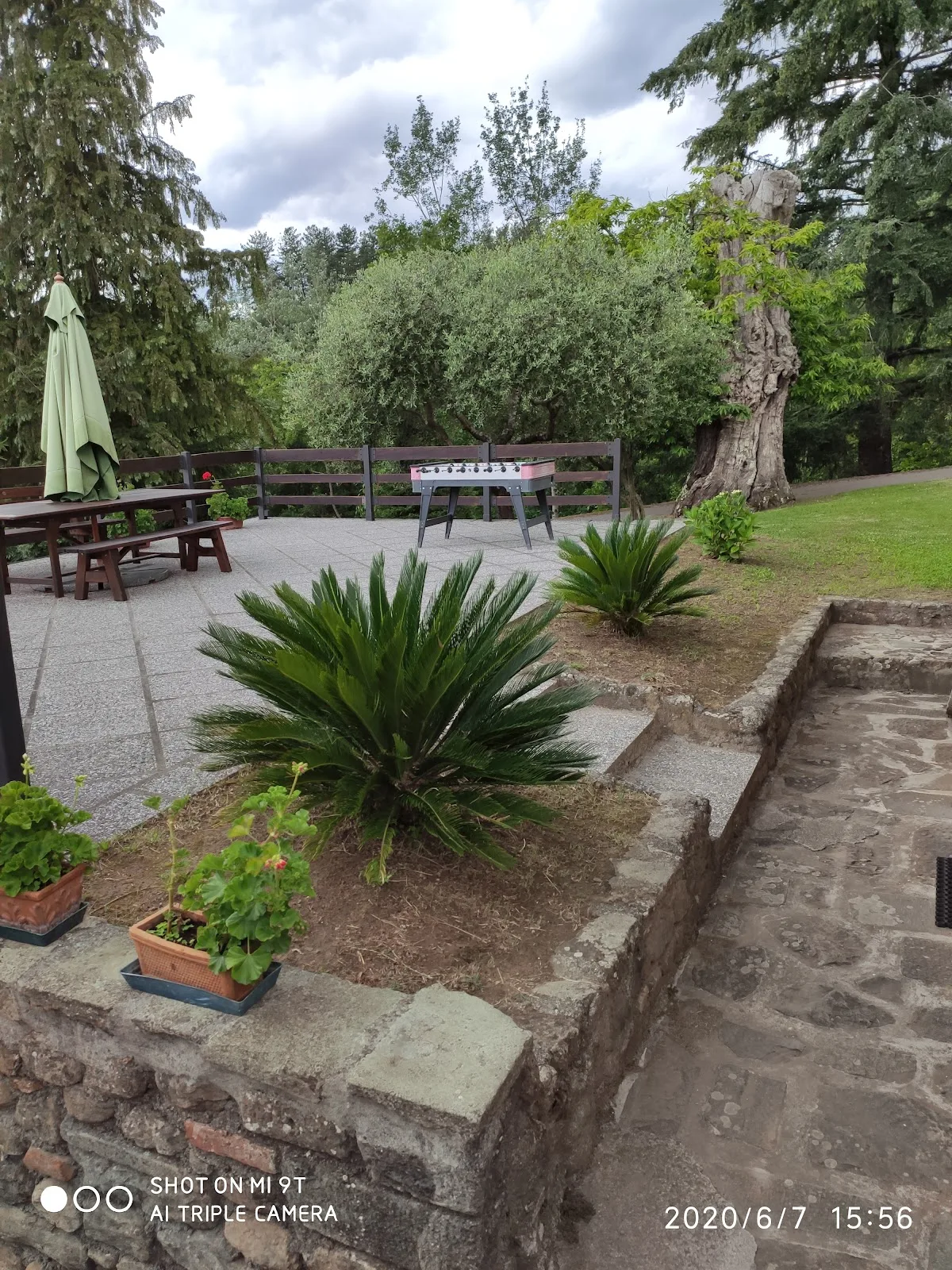 FATTORIA CARPINETA di Pierami Emanuele photo 4
