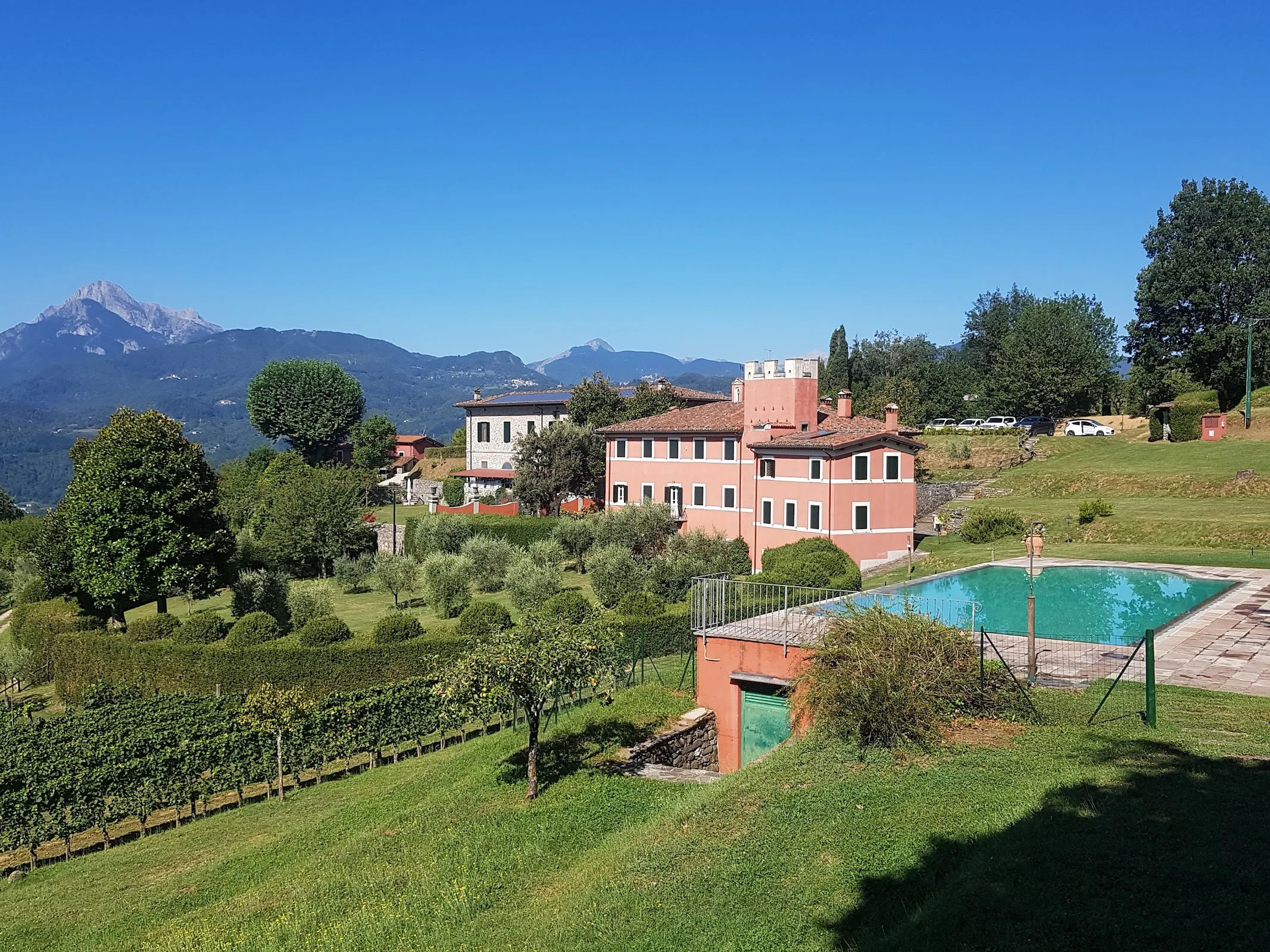 Agriturismo I Cedri photo 6