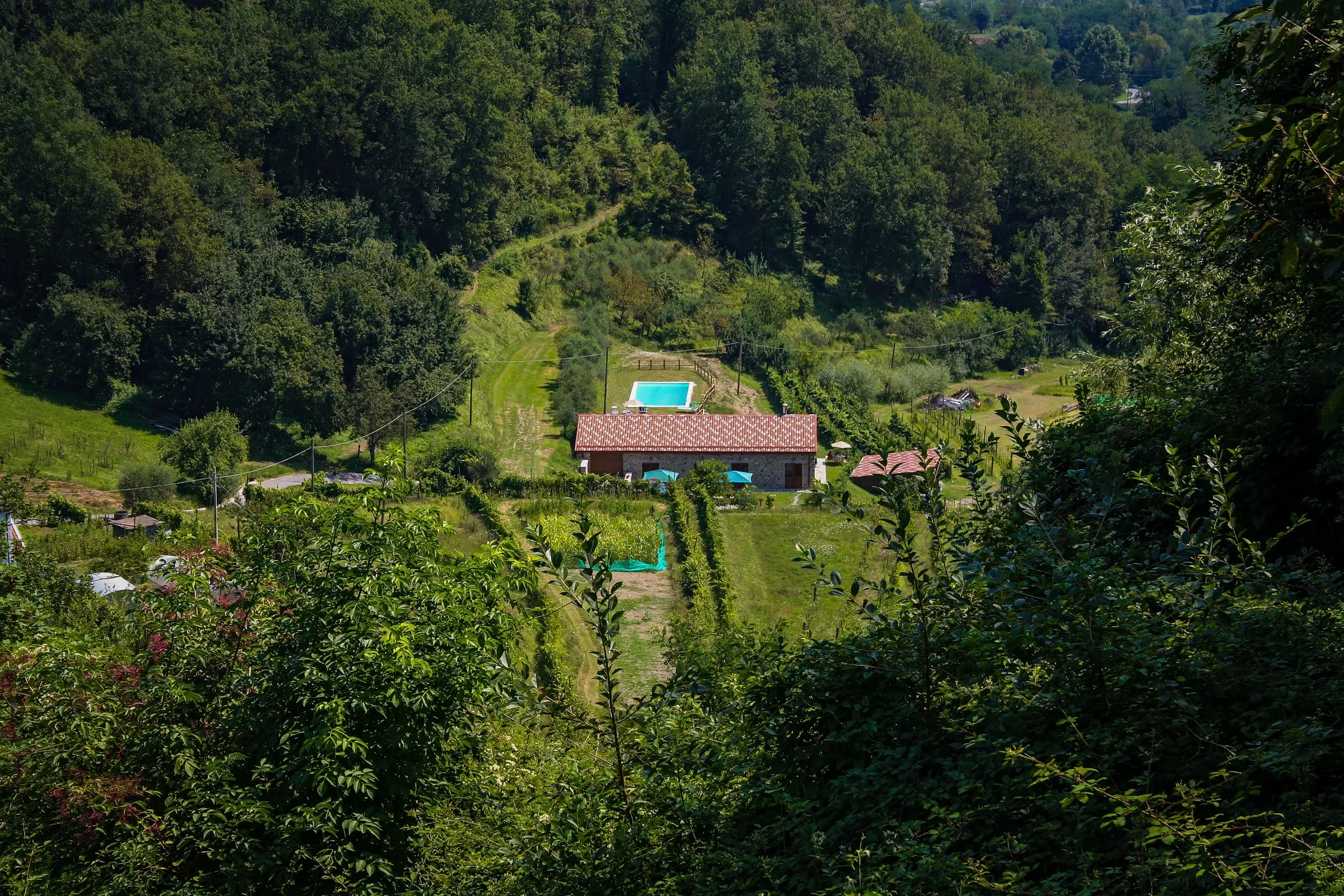 Agriturismo I tre Canali photo 4