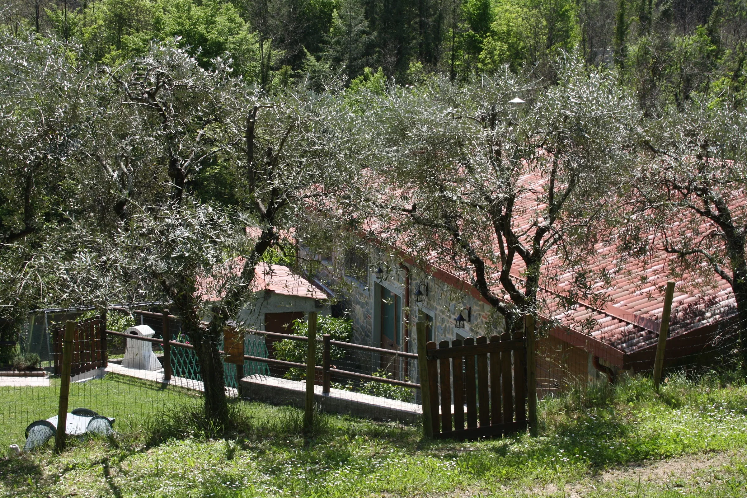 Agriturismo I tre Canali photo 5