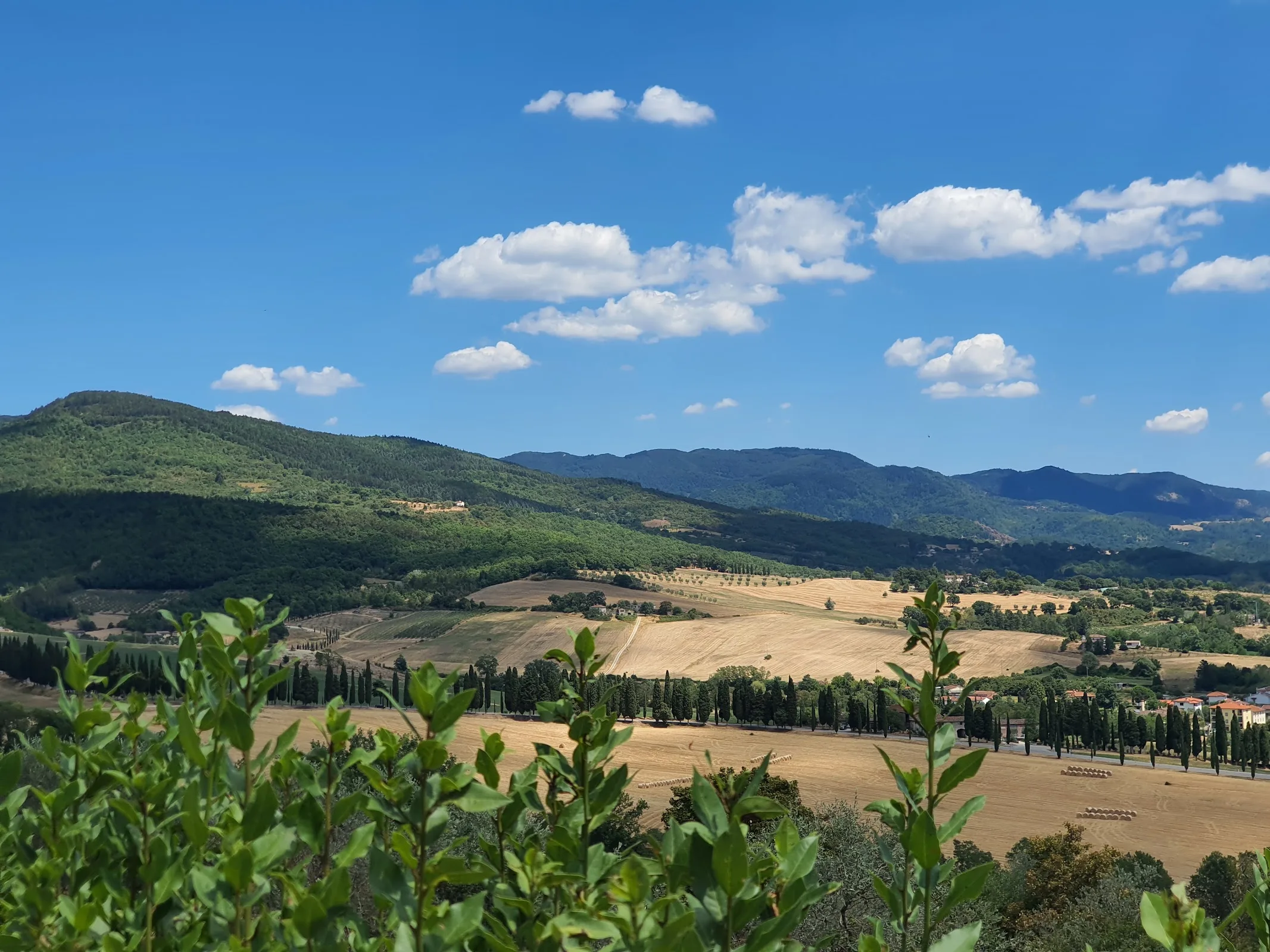 Agriturismo Il Palazzaccio photo 3