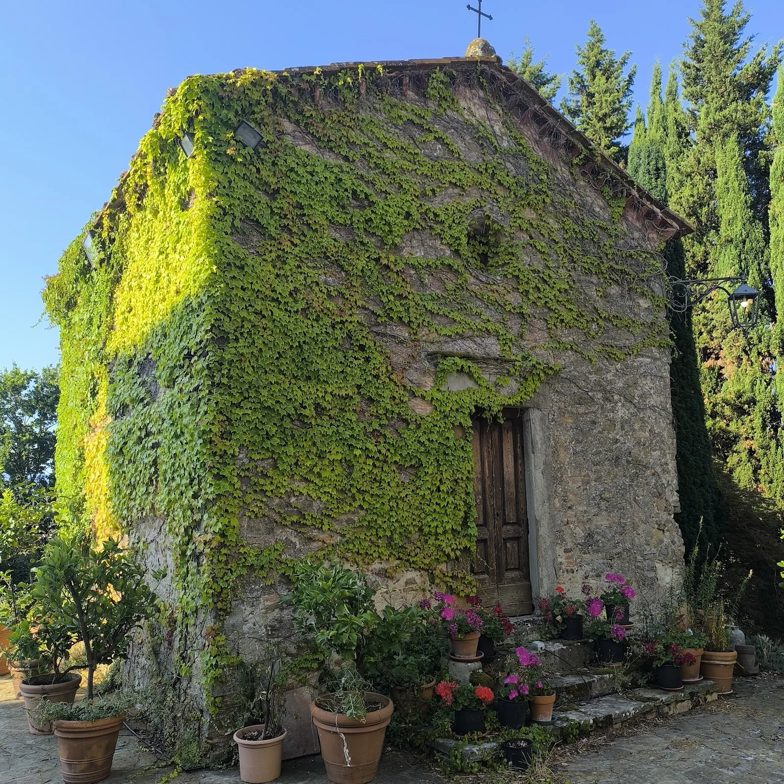Agriturismo Il Palazzaccio photo 5