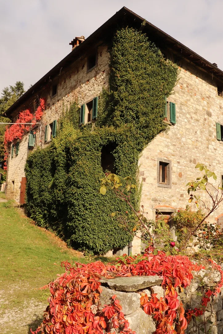 Agriturismo Villaggio Eden photo 4