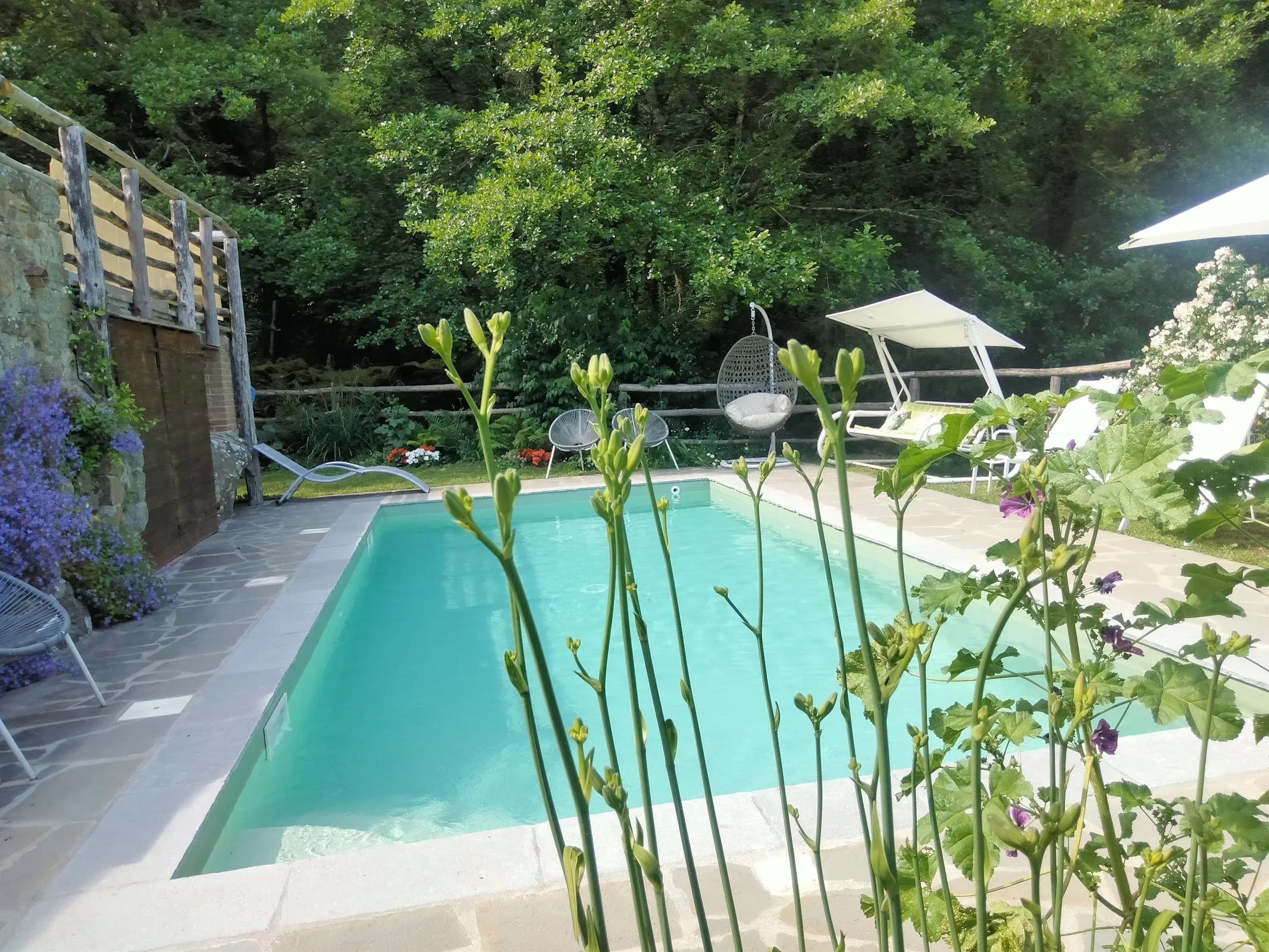 Agriturismo Molinvecchio sul Capraia photo 2