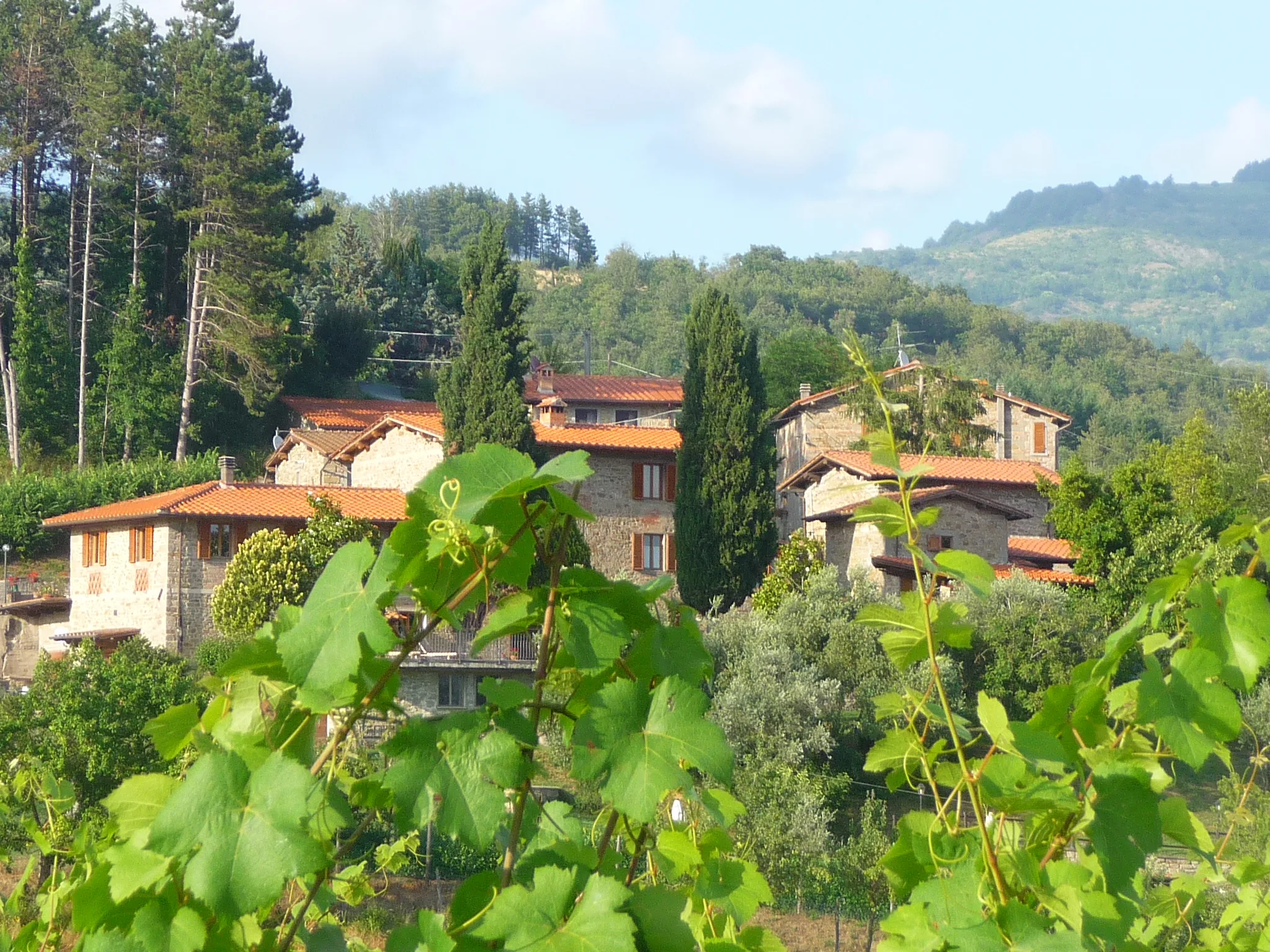 Agriturismo Poppiena
