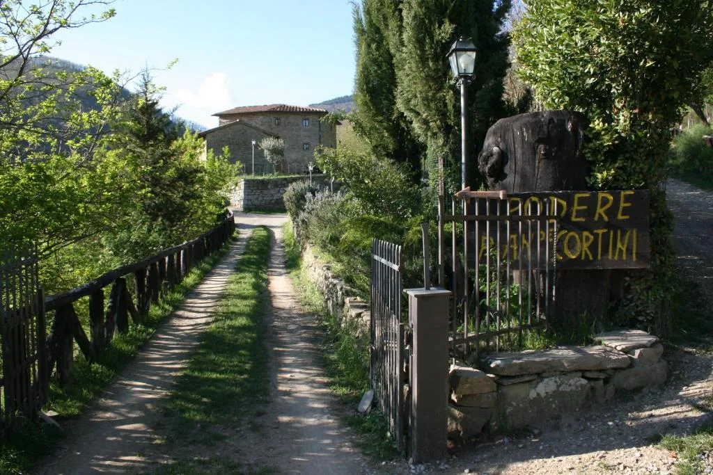 Podere Pian De' Cortini photo 3