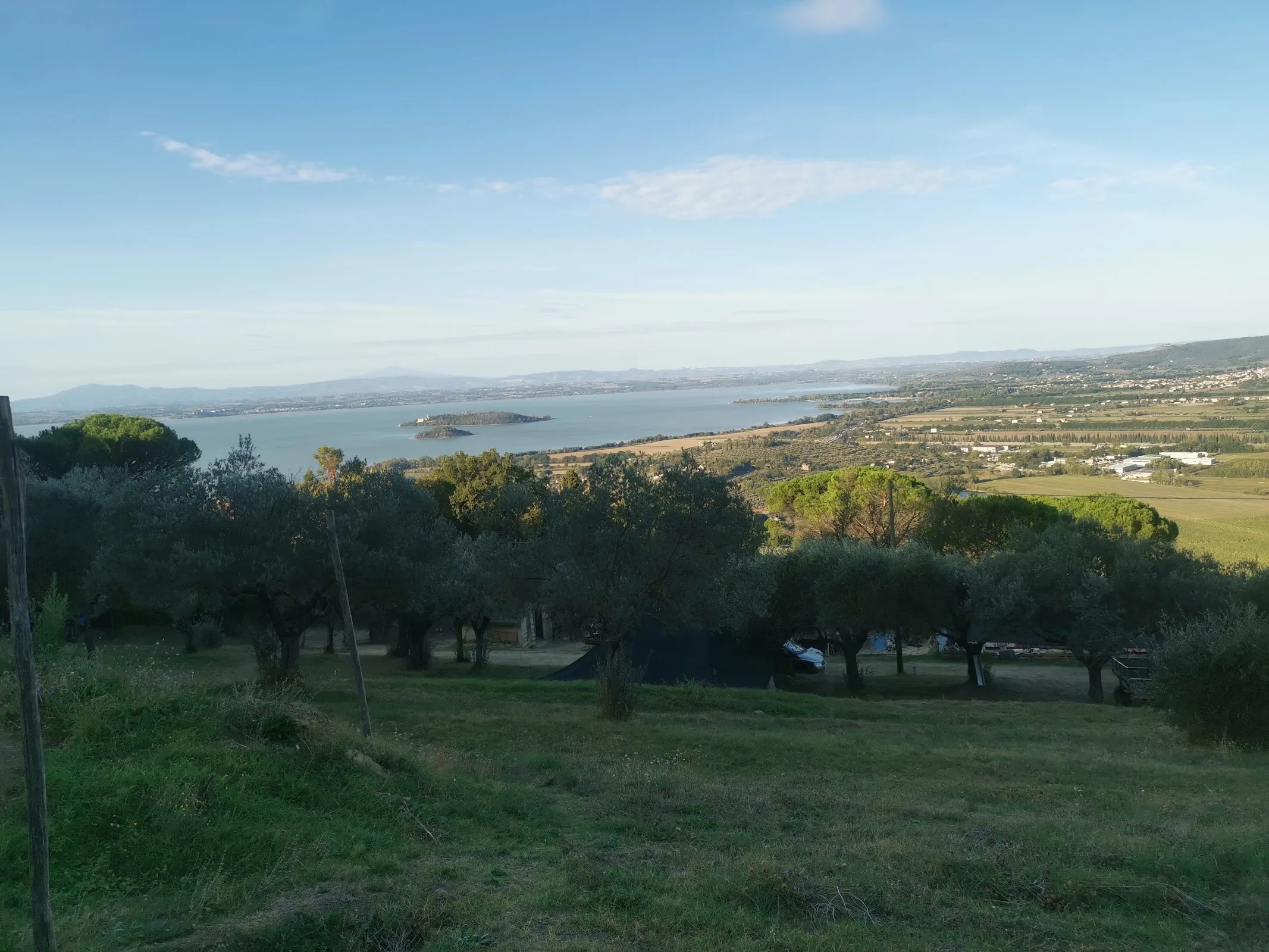 La Buona Terra photo 4