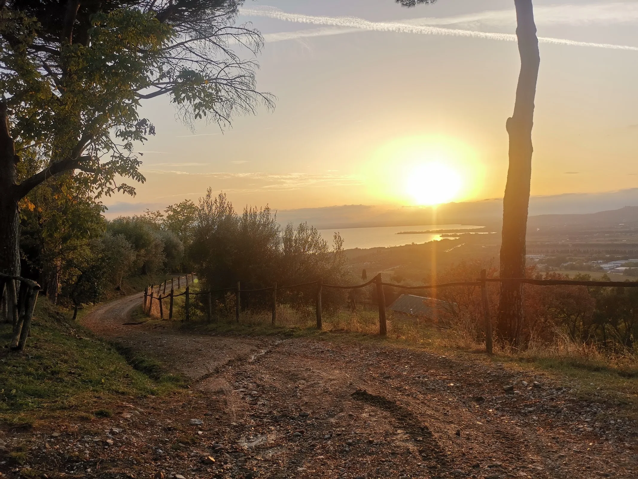 La Buona Terra photo 5
