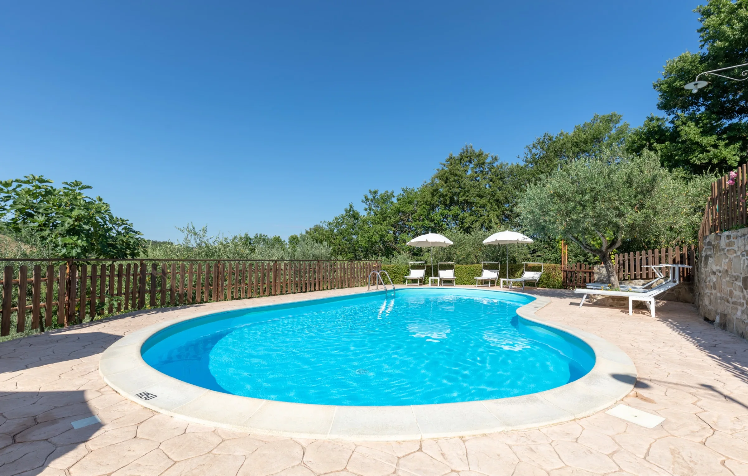 Agriturismo le Dolci Colline photo 4