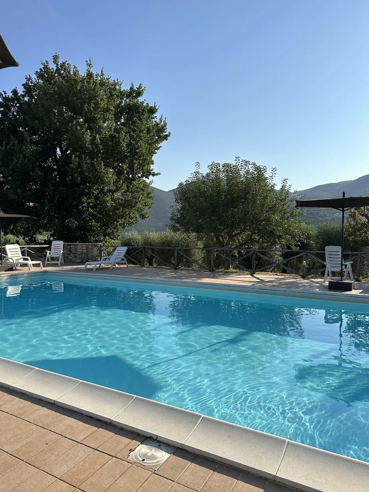 La Perticara Agriturismo photo 3