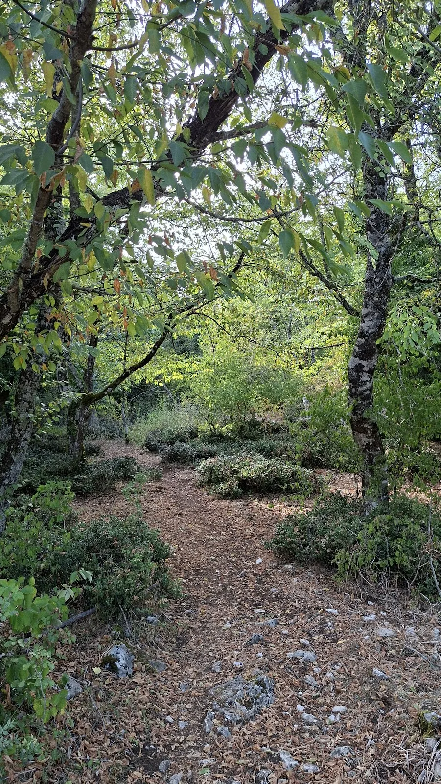 Casa Natura Coppa Del Giglio photo 6