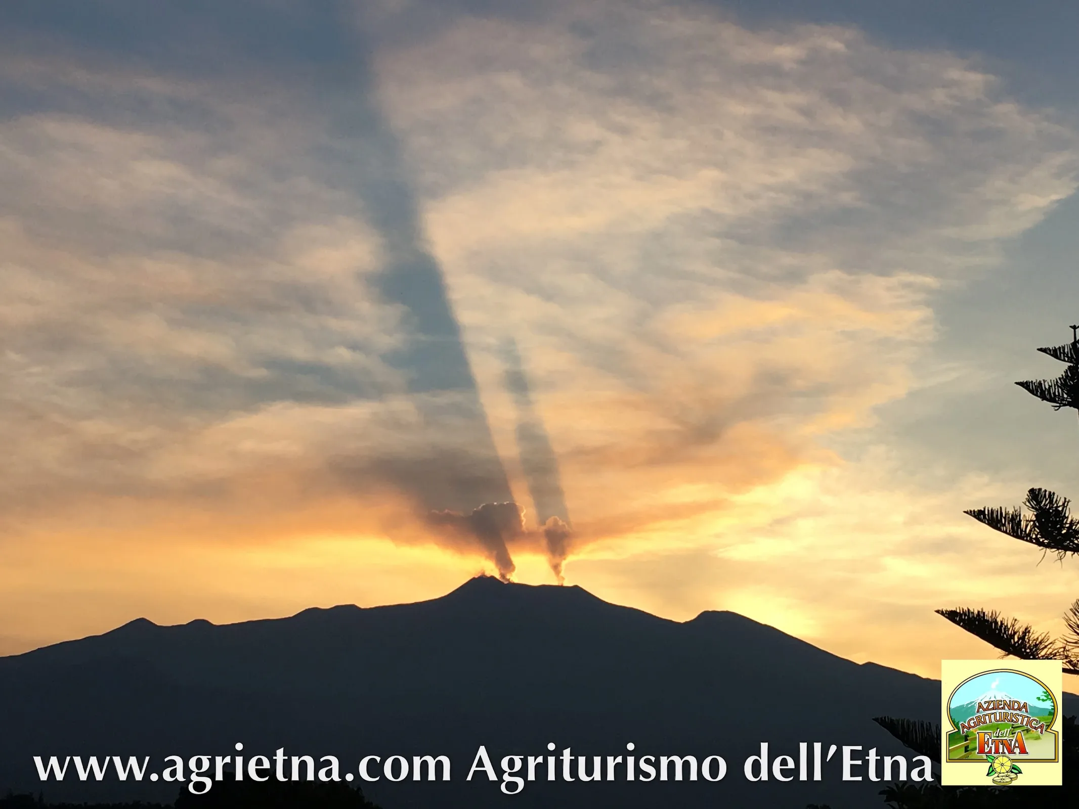 Agriturismo dell'Etna photo 5