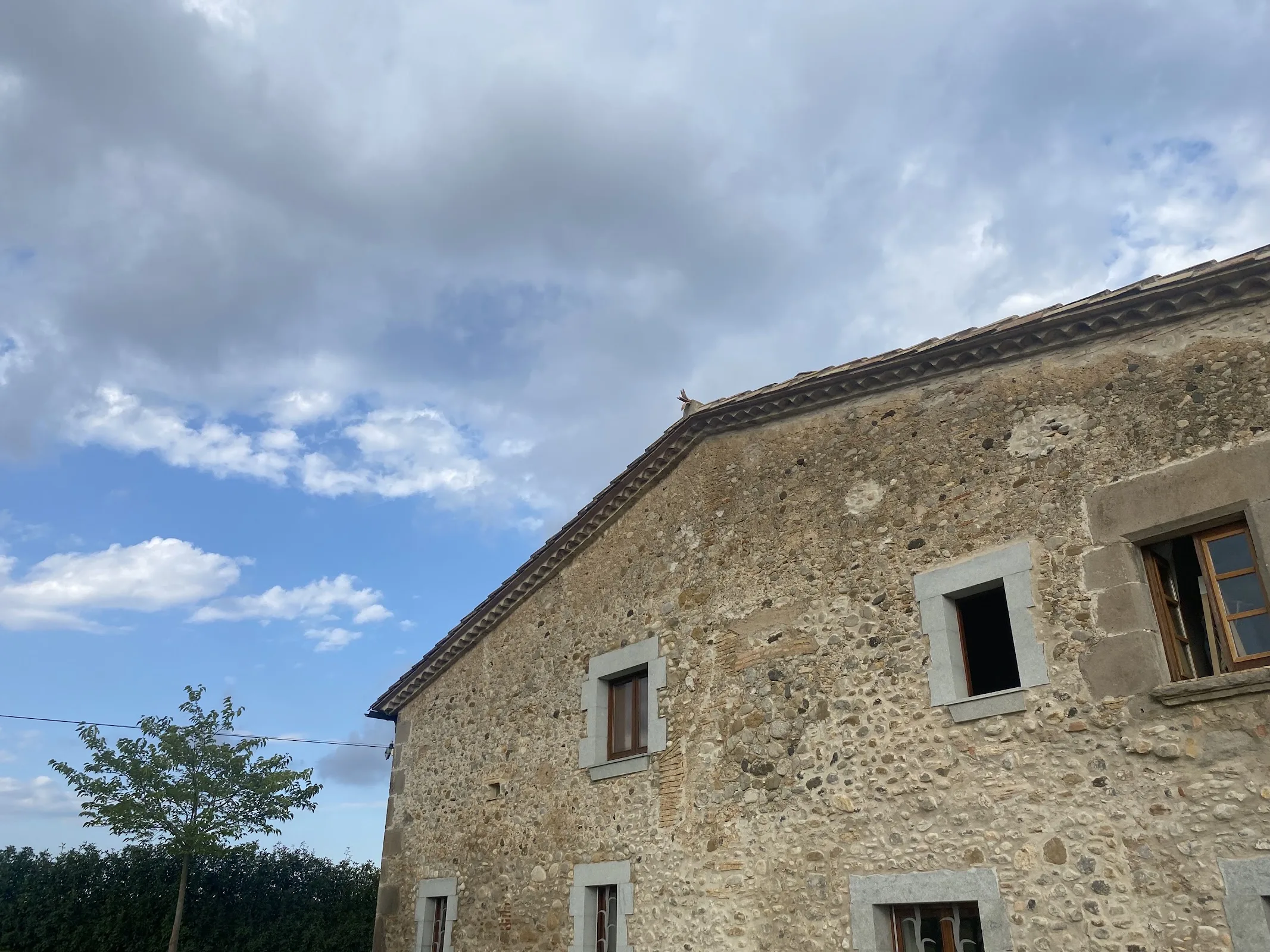 Naturaki Mas Verdaguer photo 6
