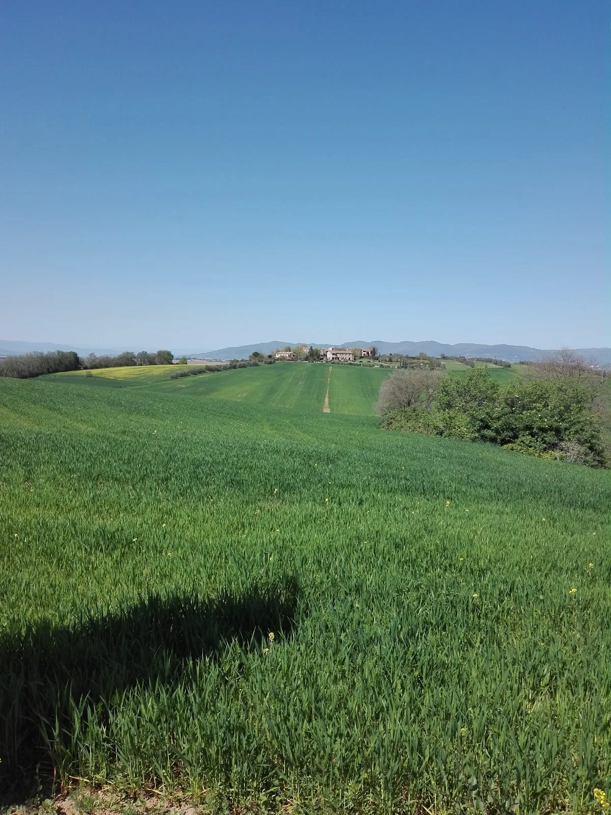 Casale il falco photo 2
