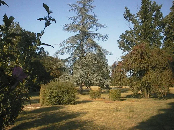 Château Solon photo 5