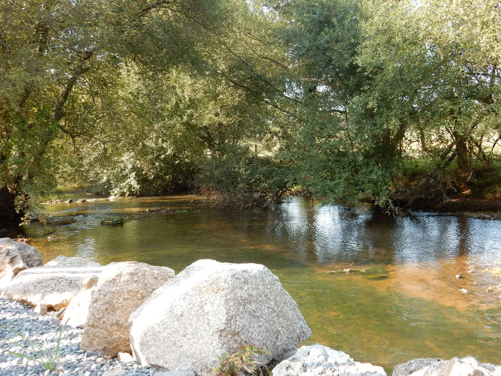Les Pieds dans l'Eau photo 2