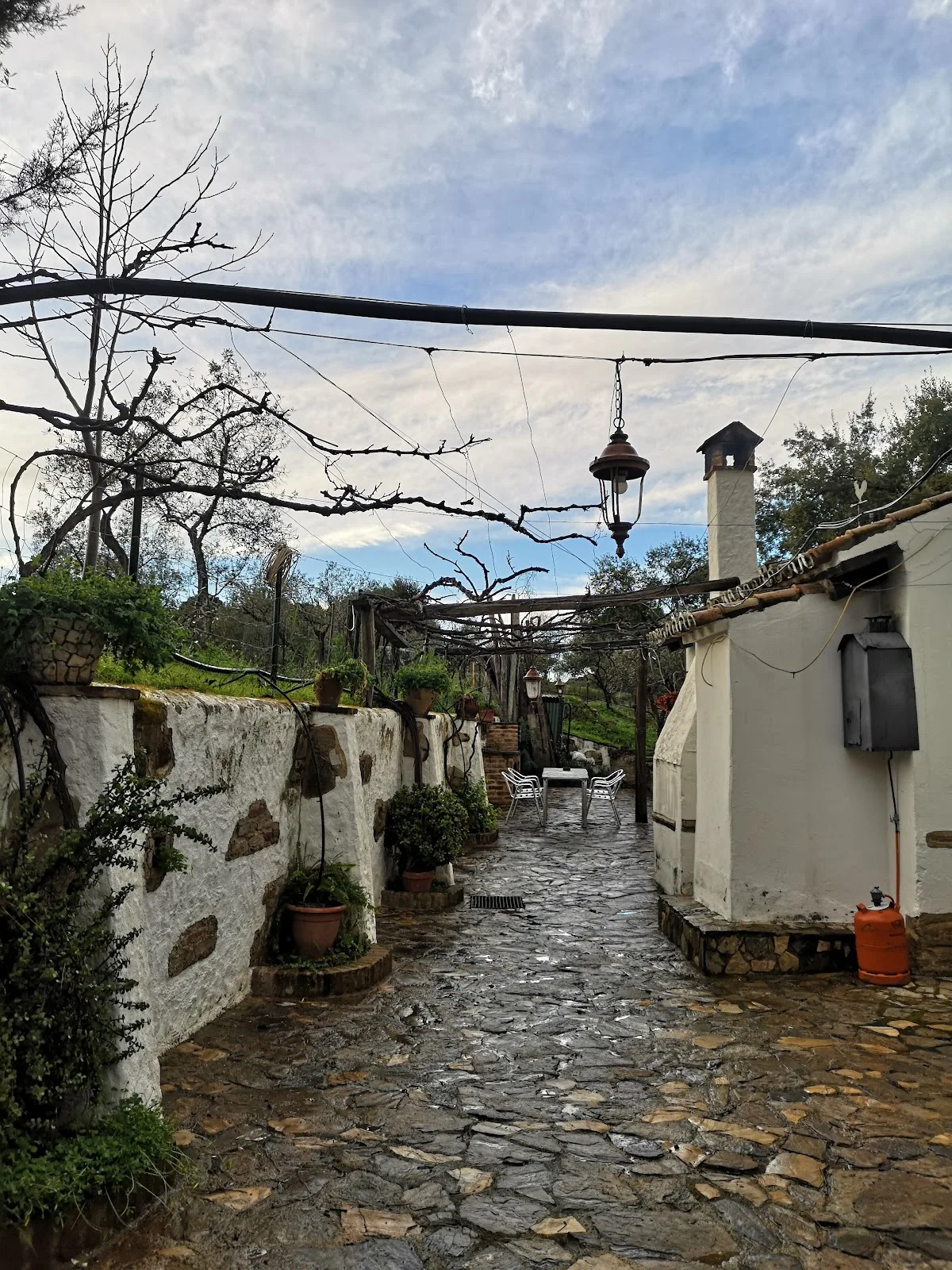 Casa Rural los Madroños photo 4
