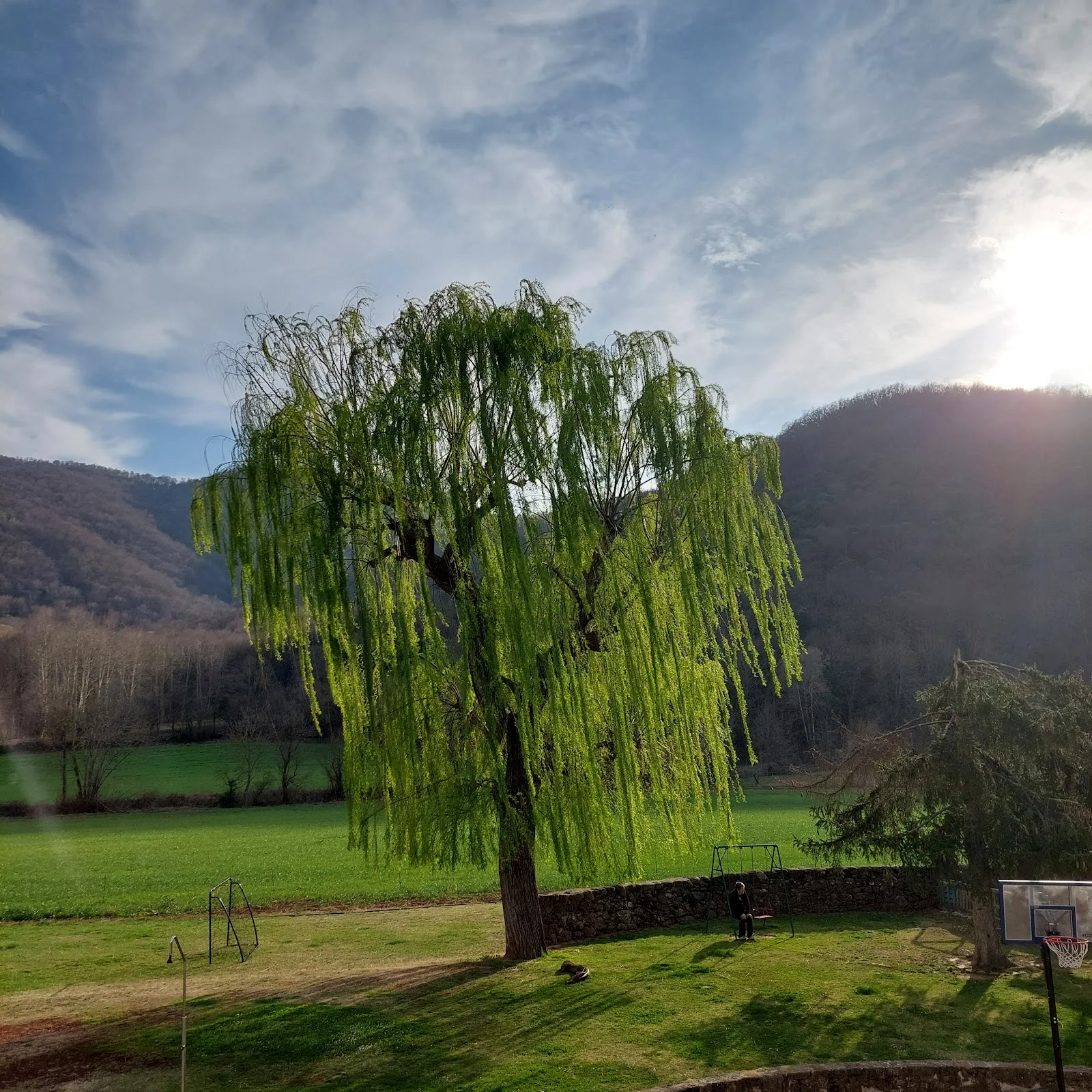 Mas Plantalech, la Vall de Bianya photo 4